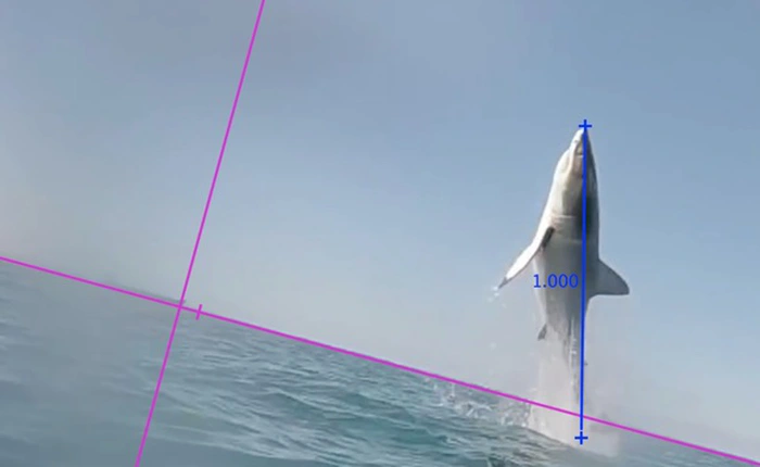 Xem video giải trí qua con mắt của nhà vật lý khác người thường như thế nào?