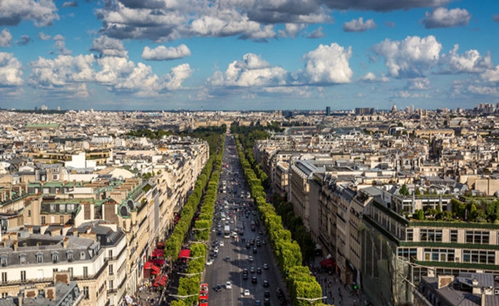 Nếu bạn vẫn nghĩ cây xanh làm cho thành phố sạch hơn thì bạn đã nhầm