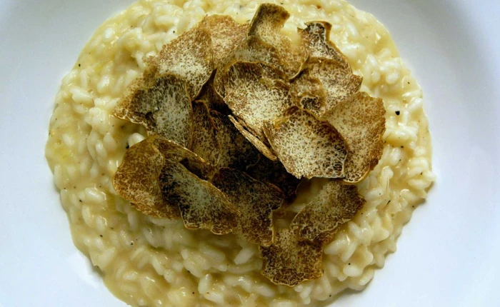 19 thứ "đắt đỏ" nhất trên hành tinh