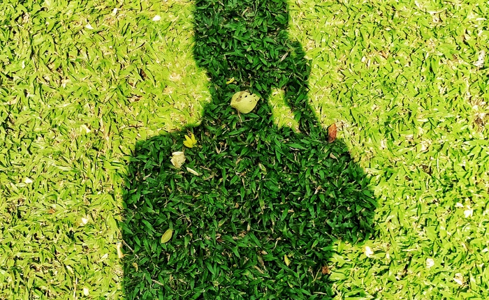 Xem đánh giá của chuyên gia về khả năng chụp ảnh trong nhiều điều kiện ánh sáng trên Prime X Max