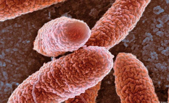 CẢNH BÁO: Gen vi khuẩn kháng tất cả các loại thuốc đang lan khắp thế giới, vừa xuất hiện tại Hàn Quốc