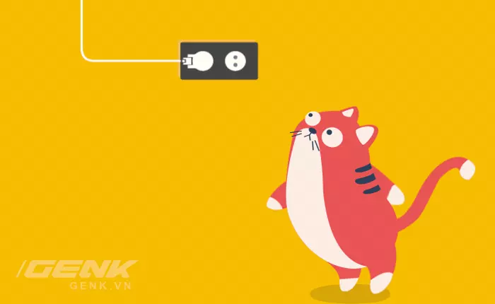 4 cách đơn giản để chó mèo không còn phá dây điện nhà bạn nữa