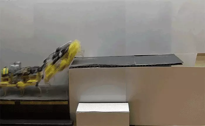 Xem robot gián hỗ trợ nhau leo cầu thang tài tình như thế nào