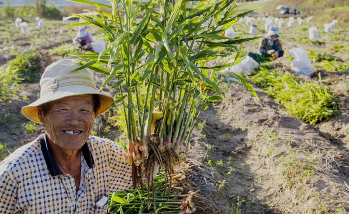 Câu chuyện cảm động về lão nông xứ Hàn Quốc và chiếc Galaxy S5