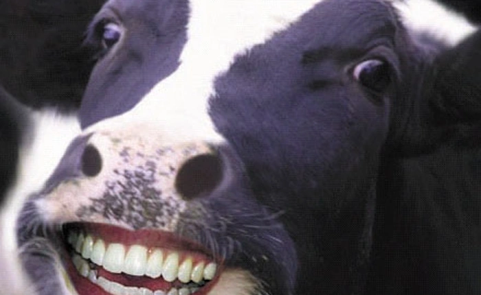 Cha đẻ OnePlus, Oppo, Vivo vừa mở thêm một thương hiệu điện thoại mới, cái tên của nó rất buồn cười