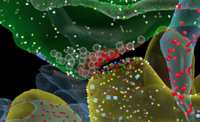 Dung lượng bộ não con người tương đương với toàn bộ các trang web trên thế giới