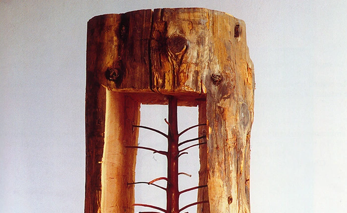 Độc đáo những tác phẩm điêu khắc "cây nằm trong cây"