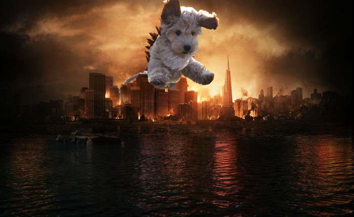 Chỉ từ một chú cún con, người ta đã tạo nên hàng loạt các tác phẩm nghệ thuật bằng Photoshop