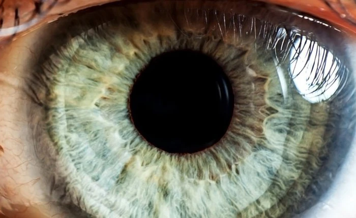 Sẽ không còn người mù nữa nhờ kỹ thuật chỉnh sửa gen