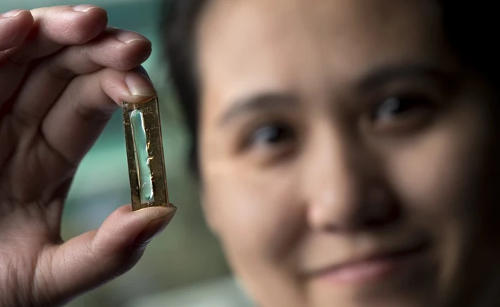 Nữ nghiên cứu sinh gốc Việt phát minh ra pin lithium trọn đời