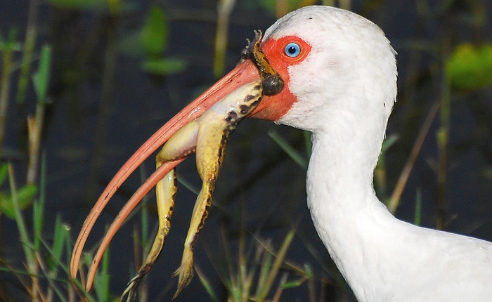 Xem ngay video này nếu bạn muốn có thêm động lực để tiếp tục bươn chải giữa dòng đời
