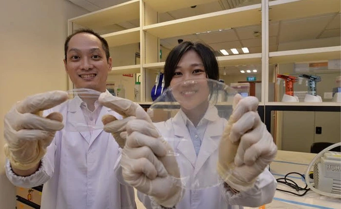 Quên màng bọc đồ ăn bằng nilon đi, sáng kiến mới này vừa không độc hại, còn tăng gấp đôi thời gian bảo quản