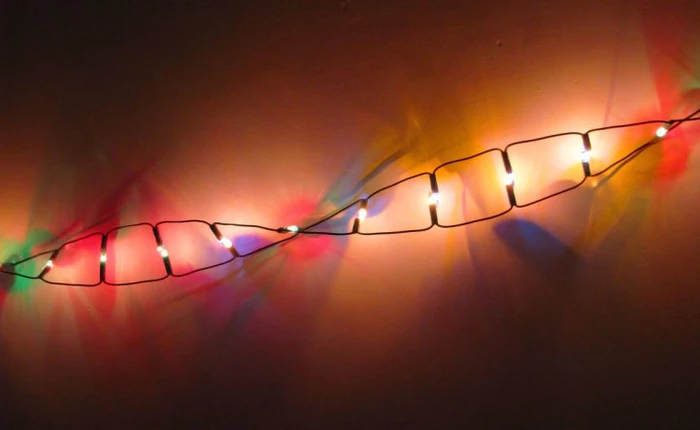 Tìm hiểu về CRISPR - công nghệ chỉnh sửa gen đột phá mà Trung Quốc vừa mới vượt mặt Mỹ