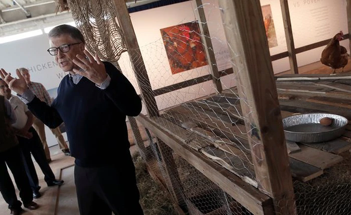 Quốc gia nhỏ bé Bolivia từ chối gà Bill Gates tặng, nói ông cần tìm hiểu kỹ hơn