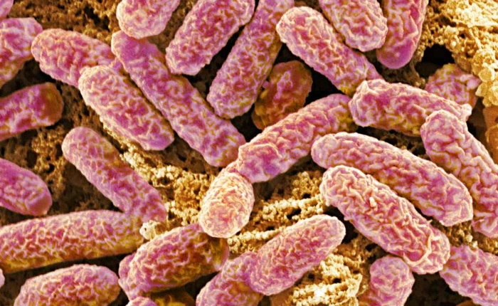 Hãy dừng ngay việc lạm dụng thuốc kháng sinh, chúng đã bắt đầu vô dụng ở trẻ nhỏ