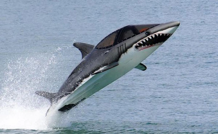 Những món “đồ chơi” siêu đắt của giới nhà giàu