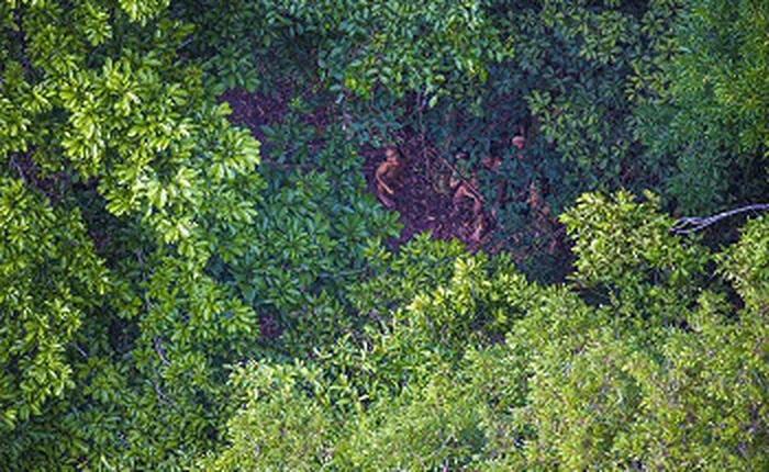 Nhiếp ảnh gia người Brazil chụp được những bức ảnh về bộ tộc sống cách biệt với thế giới