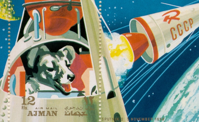 Những chú cừu, vịt, gà, chó đã bắt đầu hành trình thám hiểm vũ trụ ra sao?