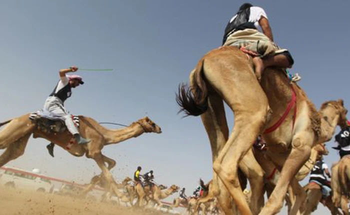 Ả Rập: Dùng VPN sẽ bị đi tù, phải nộp phạt 545.000 USD