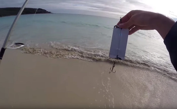 Đã tìm ra chú cá hồi mê iPhone nhất thế giới