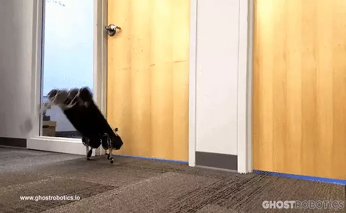 Xem robot dễ thương cực kỳ, có thể nhảy tung tăng như cún con, leo rào và mở cửa dễ dàng