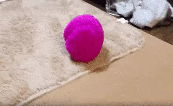 Robot vệ sinh sàn nhà này của Nhật Bản rất dễ thương, nhưng cực kỳ...vô dụng