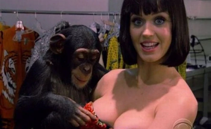 7 loài vật có trí thông minh không thua gì con người (Phần 1)