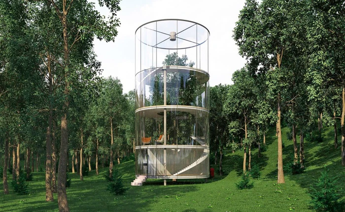 Nhà bọc quanh cây - giải pháp cho người yêu thiên nhiên và kiến trúc độc lạ