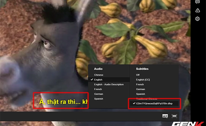 Hướng dẫn xem phim có phụ đề tiếng Việt trên Netflix