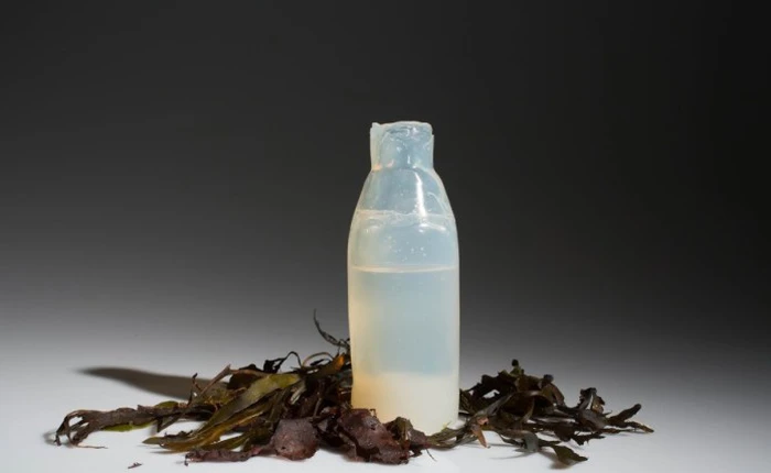 Chai nước tự phân hủy làm bằng tảo biển, phải chăng đây là là tương lai của ngành nhựa?