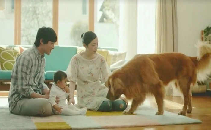 Bằng ánh mắt của một chú chó, Amazon đã tạo ra đoạn quảng cáo quá đỗi ấn tượng