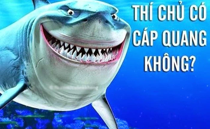 Tốc độ internet đi quốc tế quá chậm, nghi vấn cáp AAG lại đứt?