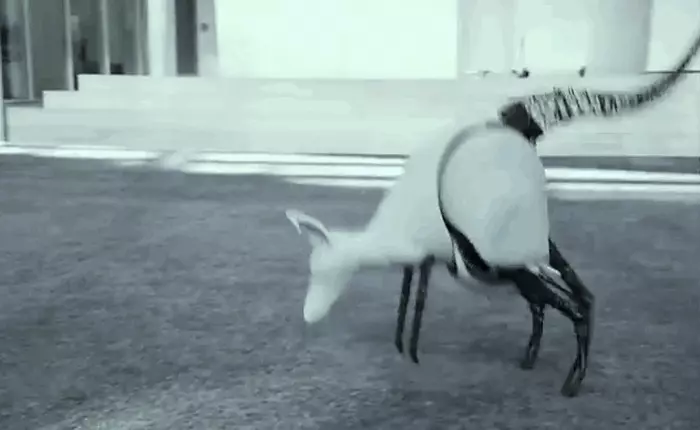 Những robot động vật này giống thật một cách kỳ lạ