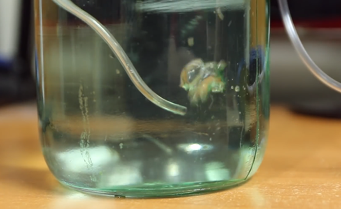 Tự chế thiết bị bơm không khí vào nước cực kỳ đơn giản