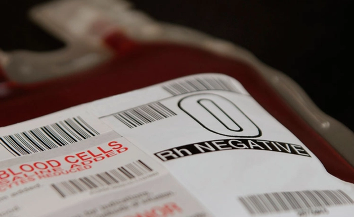 Brazil xác nhận virus Zika có thể lây nhiễm qua đường truyền máu