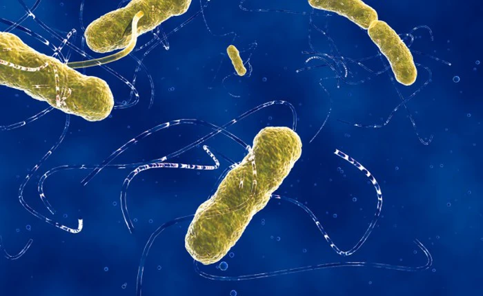 Cơ thể con người sở hữu khoảng 39 nghìn tỷ vi khuẩn