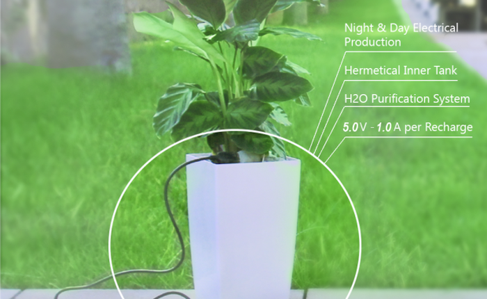 Phát minh mới: Biến chậu hoa thành sạc điện thoại vĩnh cửu