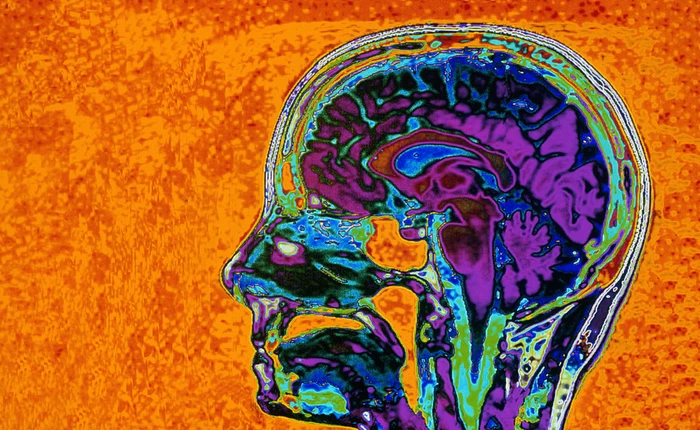 Làm thế nào để dập tắt những suy nghĩ tiêu cực trong bạn?