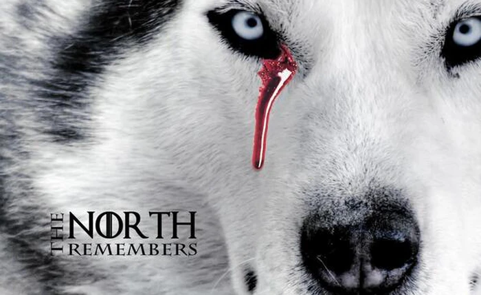 Bác sĩ nói cô bé Arya Stark trong Game of Thrones sẽ không qua khỏi với vết thương như vậy