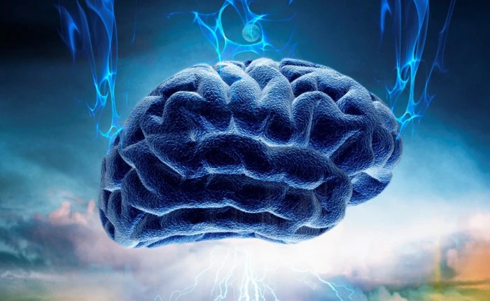 Chỉ bằng một công thức, lý thuyết này có thể giải thích được trí tuệ của con người