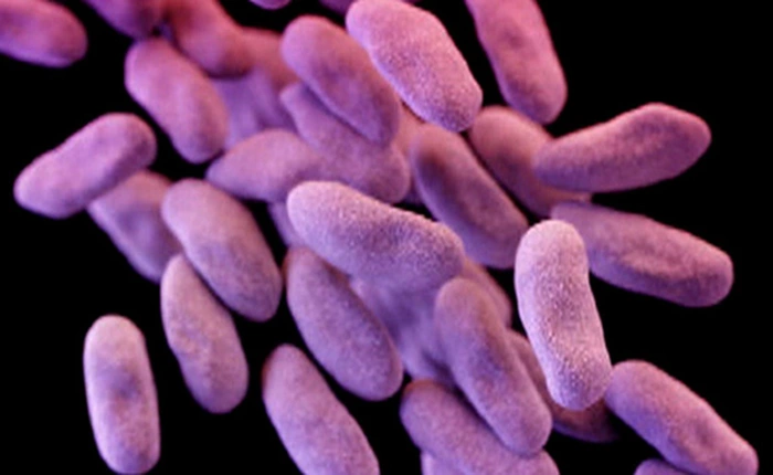 Siêu vi khuẩn cứ 3 giây lại giết chết một người