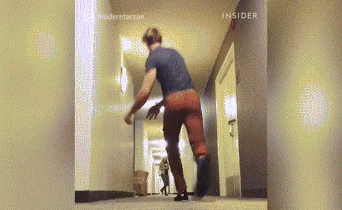 [Video] Tarzan thời hiện đại sẽ trông như thế nào?