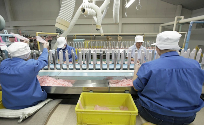 Tận mắt cảnh sản xuất bao cao su siêu mỏng chỉ bằng 1/6 sợi tóc, được quý ông ưa chuộng