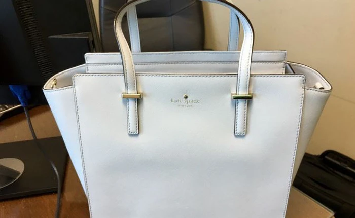 Chiếc túi này đang gây bão trên mạng xã hội, đố bạn biết nó màu trắng hay màu xanh?