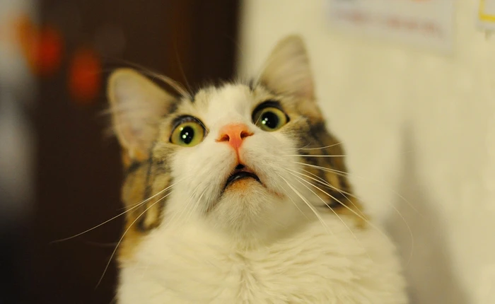 6 thuật ngữ khoa học đảm bảo bạn vẫn đang dùng sai trong cuộc sống hàng ngày