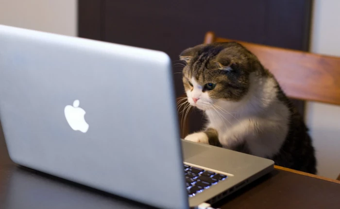 Công ty bí ẩn này đang âm thầm chi phối Internet mà bạn không hề hay biết