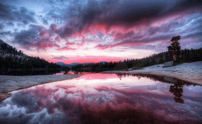 Loạt ảnh "động vật xanh" siêu thực khiến bạn phải suy ngẫm về thế giới tự nhiên này