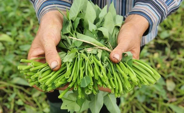 Lợi nhuận trên mỗi chuyến xe của Uber không đủ để mua một mớ rau muống