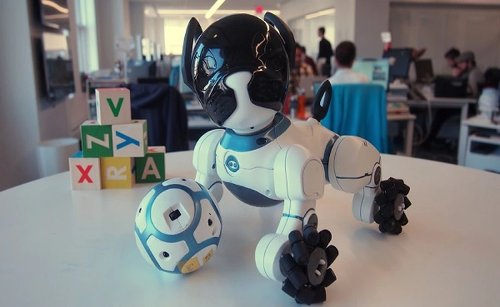 Người yêu không có, nhưng robot chó thì sẽ phải nuôi một em, giá chỉ 199 USD