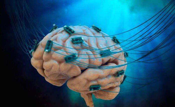 Trung Quốc đang làm trí tuệ nhân tạo đoán được người chiến thắng trong các cuộc thi âm nhạc như The Voice